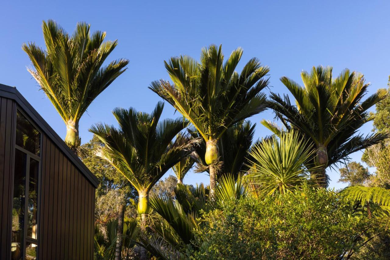 Punakaiki Forest Retreat Exteriér fotografie